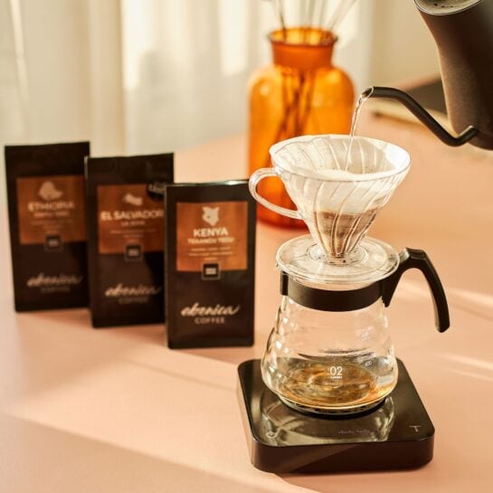 príprava kávy cez V60