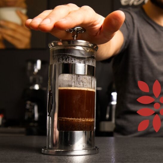 french press a majova ruka