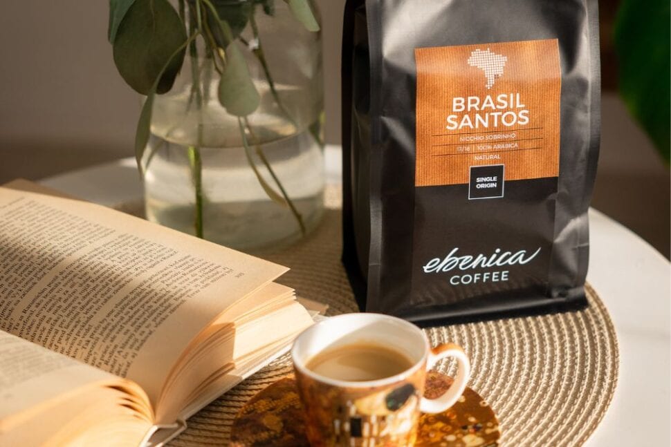 EBENICA Brasil Santos
